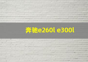 奔驰e260l e300l